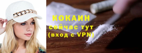меф Арсеньев