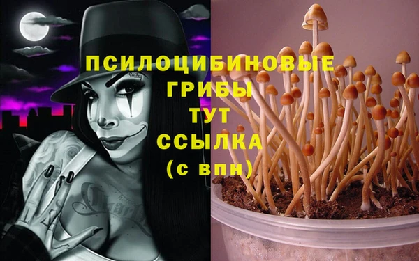 круглые Армянск